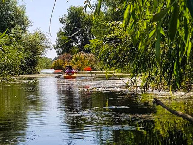 Amdtdd Excursiile De O Zi N Delta Dun Rii Sunt Un Produs Turistic