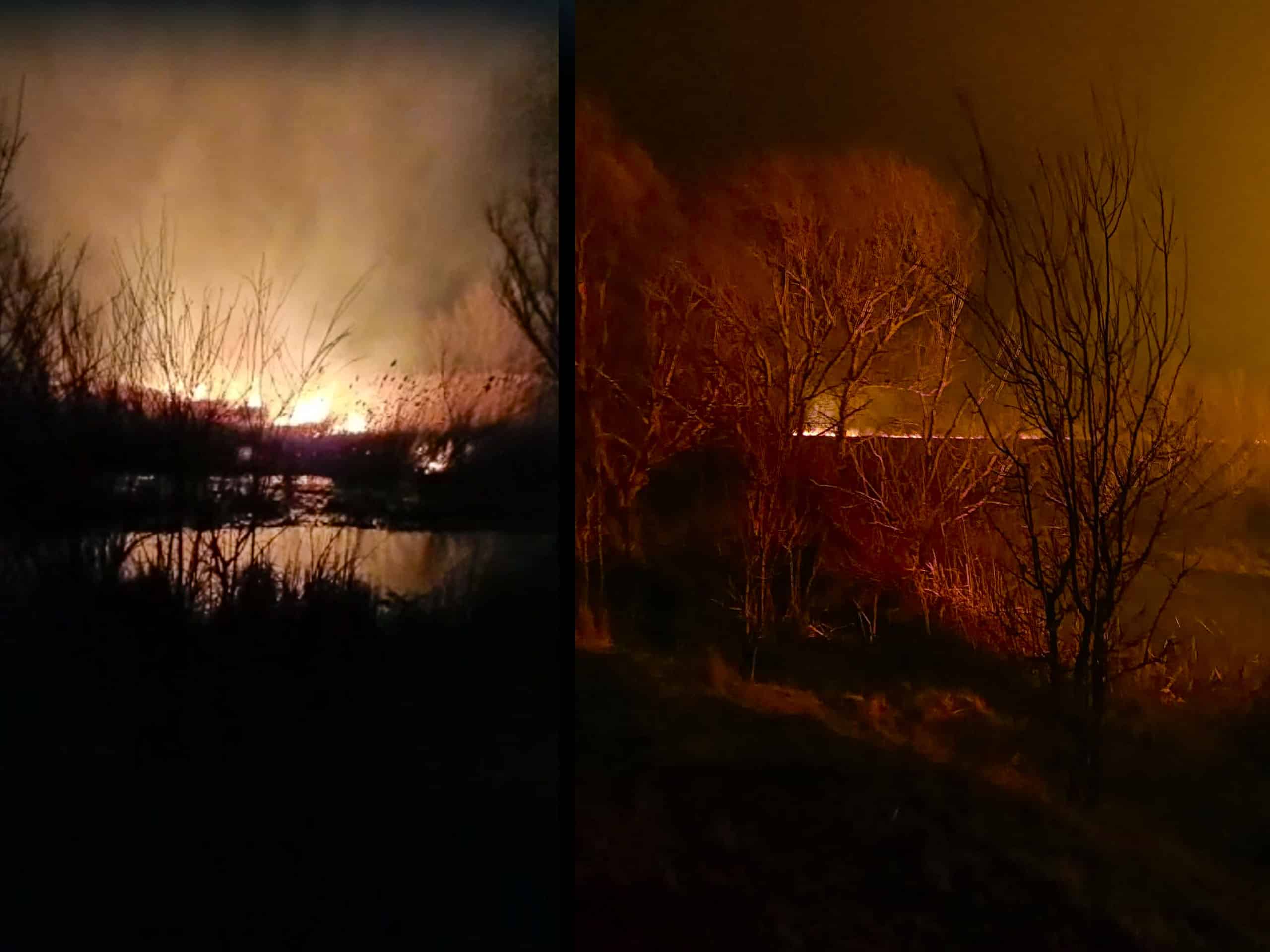 Incendiu de vegetație uscată și palustră în apropiere de Sulina